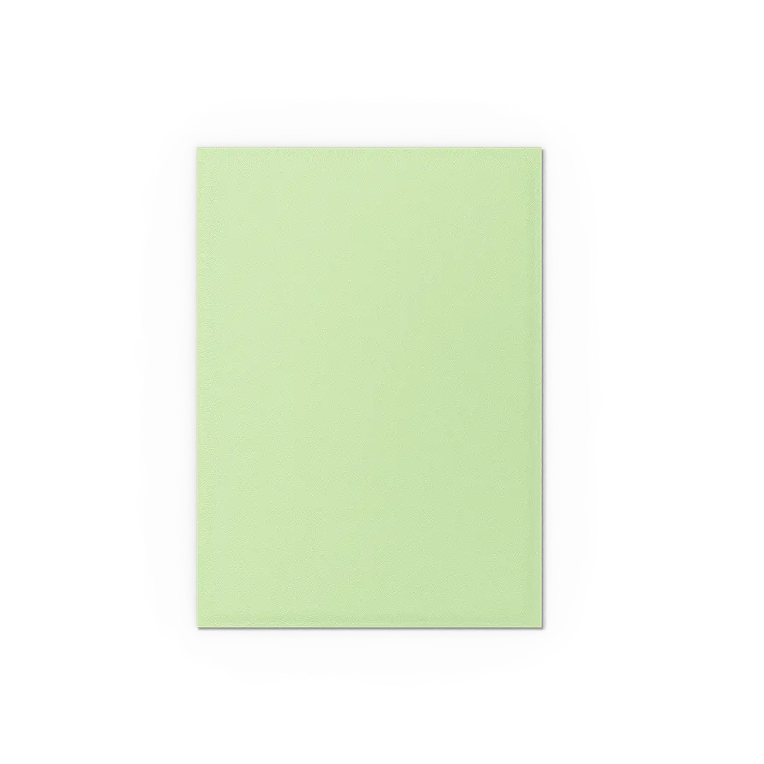 Fundas Dual Slevees Gooseberry Dragon Shield - Imagen 4